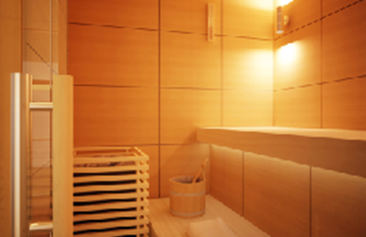 泳池(chí)設備-幹濕(shi)蒸